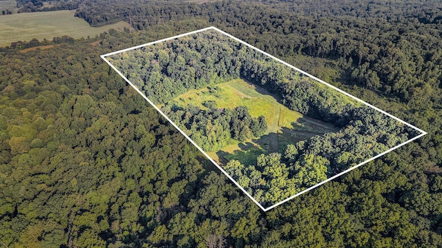 V/L Rumsey Rd, Three Rivers, MI 49093 - photo 2