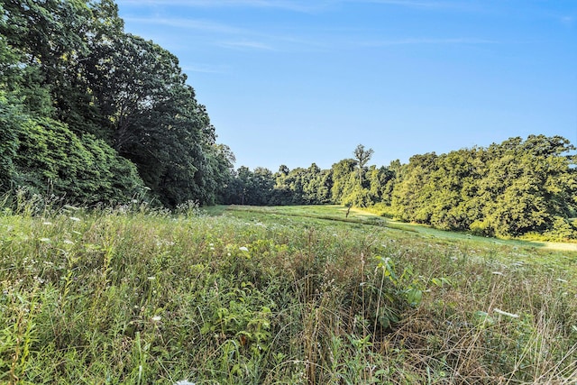 V/L Rumsey Rd, Three Rivers, MI 49093 - photo 8