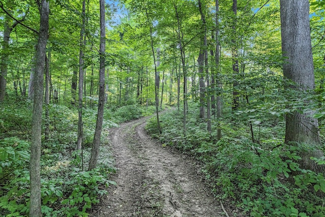 V/L Rumsey Rd, Three Rivers, MI 49093 - photo 13