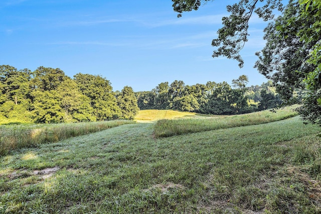 V/L Rumsey Rd, Three Rivers, MI 49093 - photo 10