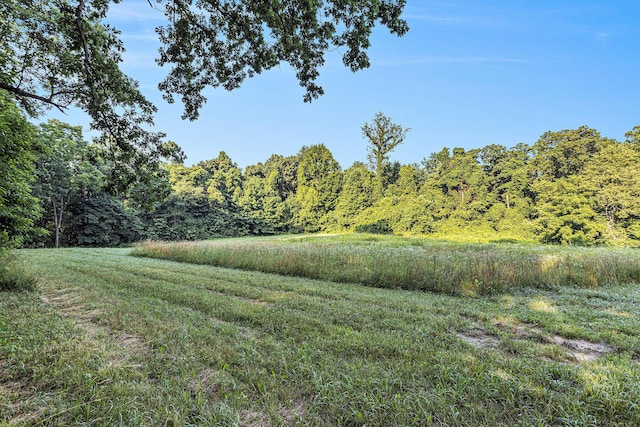 V/L Rumsey Rd, Three Rivers, MI 49093 - photo 11