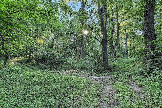 V/L Rumsey Rd, Three Rivers, MI 49093 - photo 14