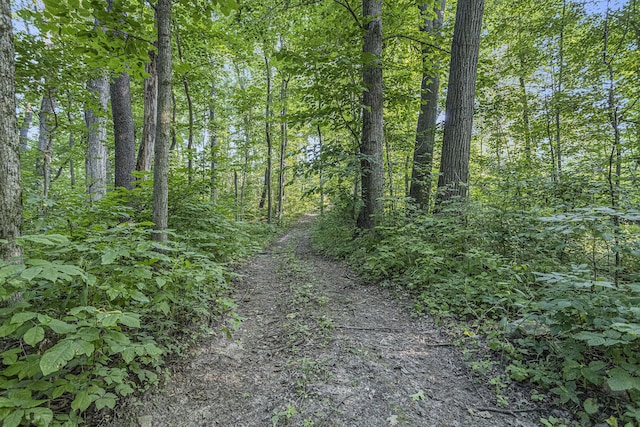 V/L Rumsey Rd, Three Rivers, MI 49093 - photo 15