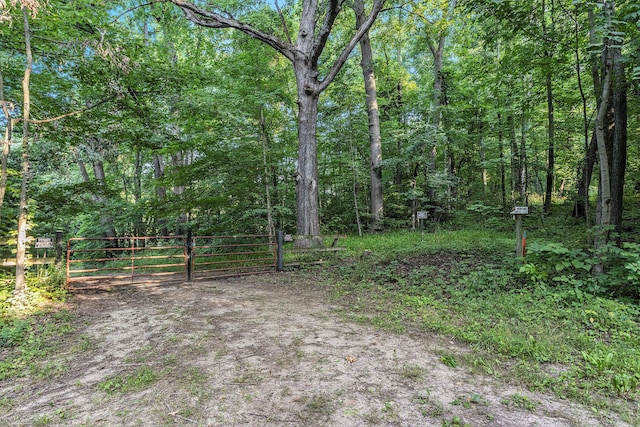 V/L Rumsey Rd, Three Rivers, MI 49093 - photo 16