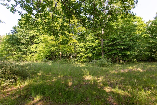 16199 W Clear Lake Rd, Buchanan, MI 49107