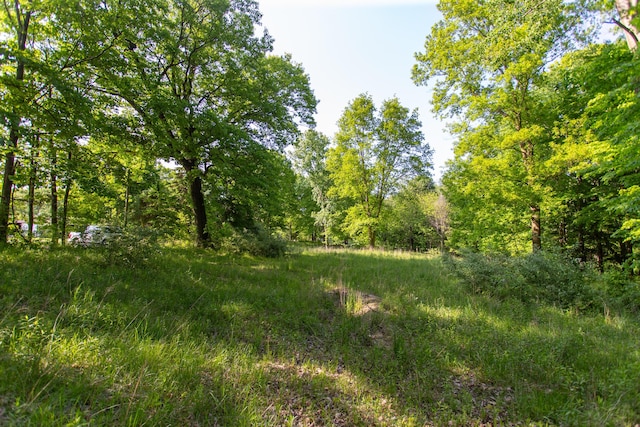 16199 W Clear Lake Rd, Buchanan, MI 49107