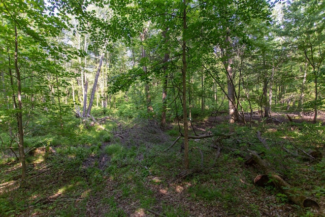 16199 W Clear Lake Rd, Buchanan, MI 49107