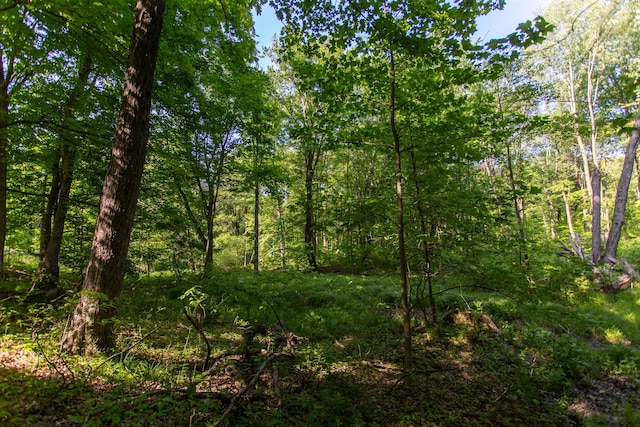 16199 W Clear Lake Rd, Buchanan, MI 49107