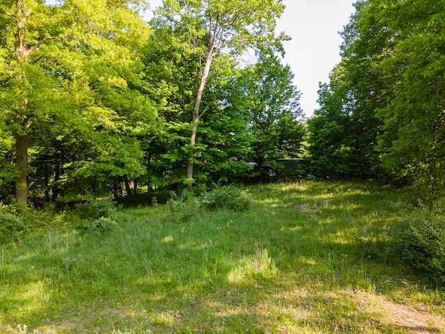 16199 W Clear Lake Rd, Buchanan, MI 49107