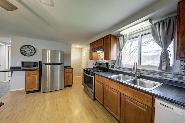 8550 Gratiot Ave, Columbus, MI 48063 - kitchen featuring a sink, under cabinet range hood, light wood-style floors, and stainless steel appliances