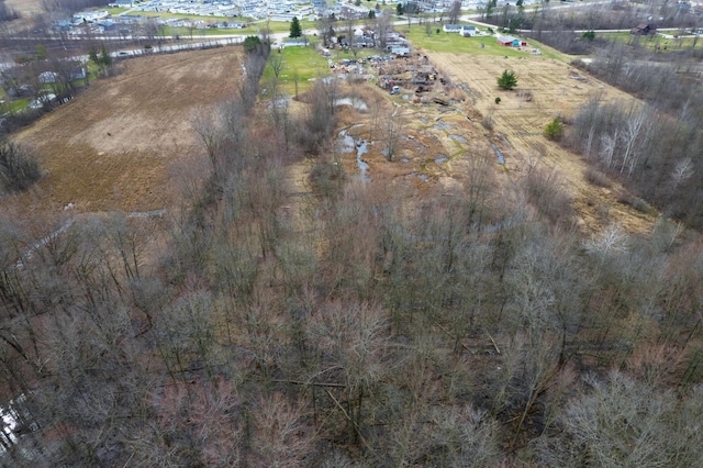 8550 Gratiot Ave, Columbus, MI 48063 - birds eye view of property