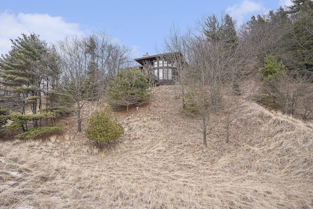 6993 S Lakeshore Dr, Pentwater, MI 49449 - view of yard