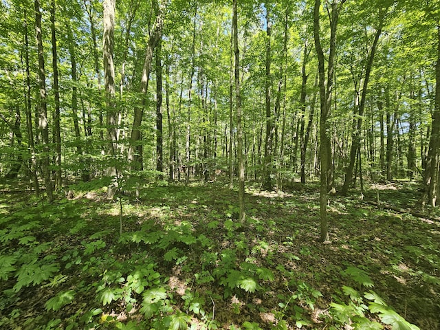 21 190th Ave, Big Rapids, MI 49307