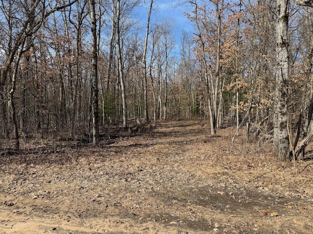 Mary St, Wellston, MI 49689