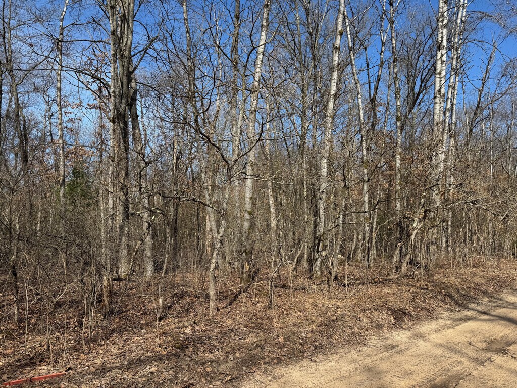 Mary St, Wellston, MI 49689