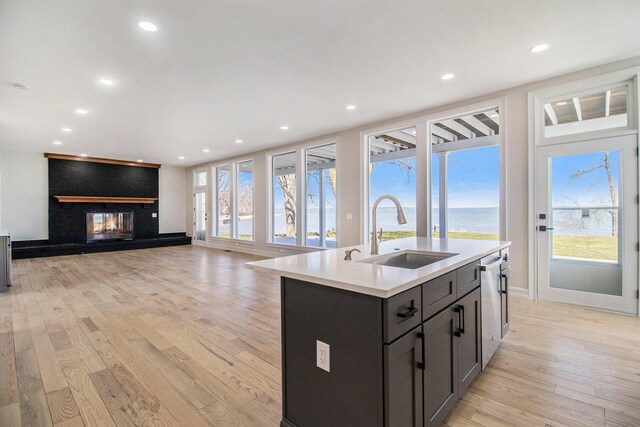6376 Sterling Dr, Newport, MI 48166 - kitchen with a brick fireplace, a sink, light countertops, a wealth of natural light, and light wood-style flooring
