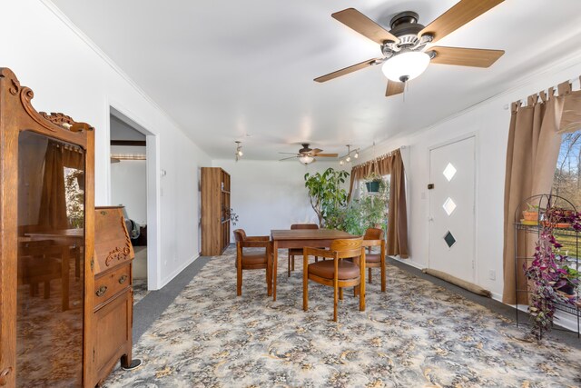 7190 Thornapple River Ct SE, Alto, MI 49302 - dining space featuring a healthy amount of sunlight, carpet flooring, ceiling fan, and baseboards