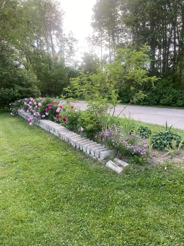 7190 Thornapple River Ct SE, Alto, MI 49302 - view of yard