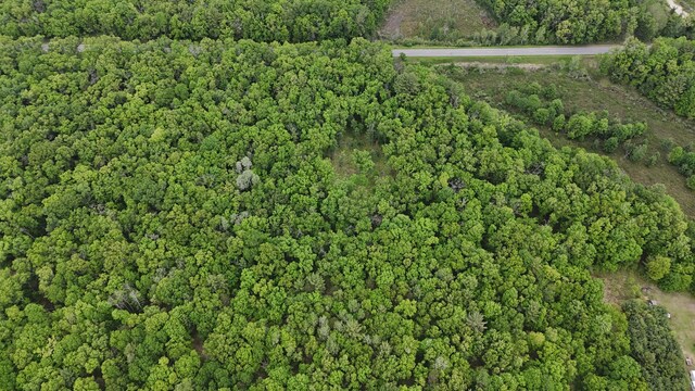 Coates Hwy, Brethren, MI 49619 - photo 8