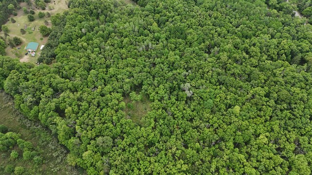 Coates Hwy, Brethren, MI 49619 - photo 9