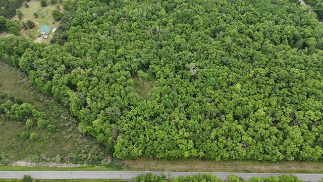 Coates Hwy, Brethren, MI 49619 - photo 3