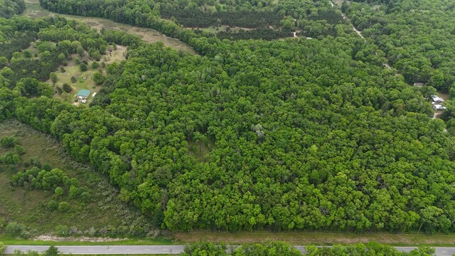 Coates Hwy, Brethren, MI 49619 - photo 5