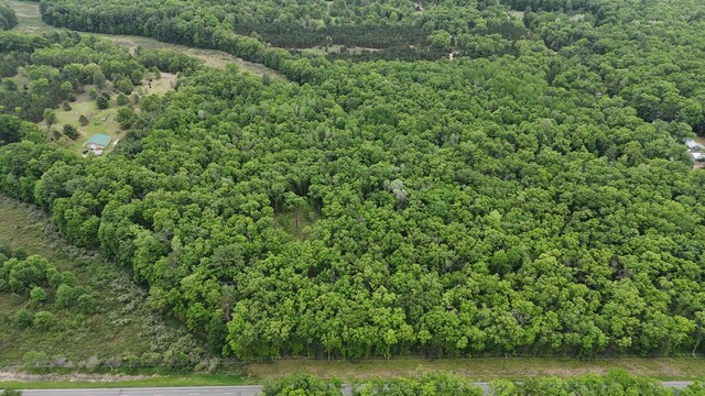 Coates Hwy, Brethren, MI 49619 - photo 15