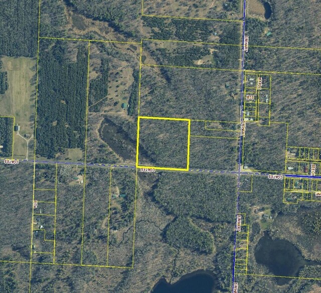 Coates Hwy, Brethren, MI 49619 - photo 4