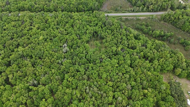 Coates Hwy, Brethren, MI 49619 - photo 6
