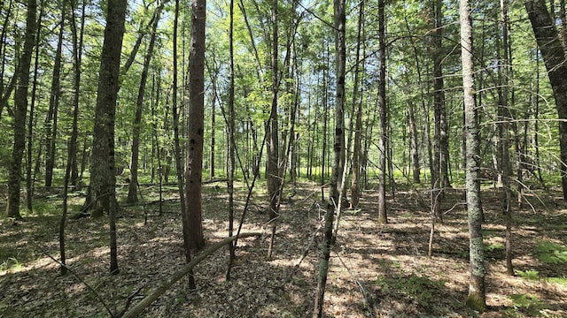 Coates Hwy, Brethren, MI 49619 - photo 18