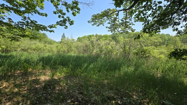 Coates Hwy, Brethren, MI 49619 - photo 21