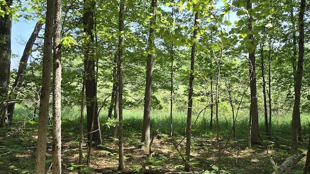 Coates Hwy, Brethren, MI 49619 - photo 1