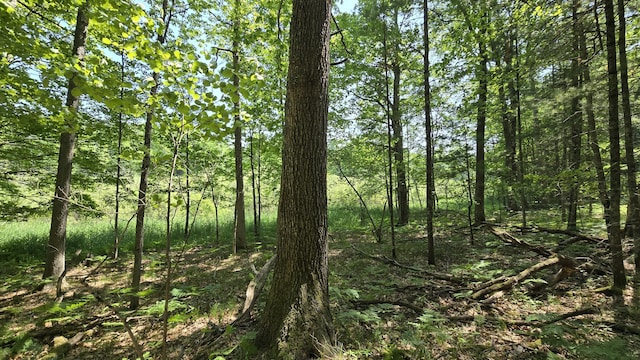 Coates Hwy, Brethren, MI 49619 - photo 2