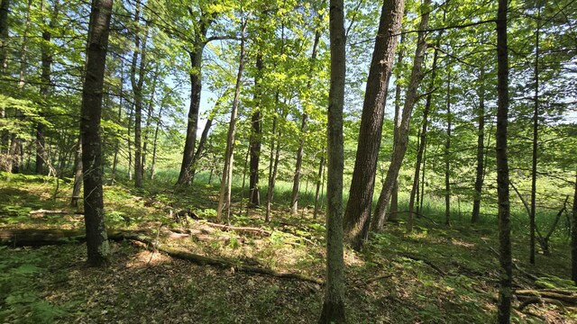 Coates Hwy, Brethren, MI 49619 - photo 11