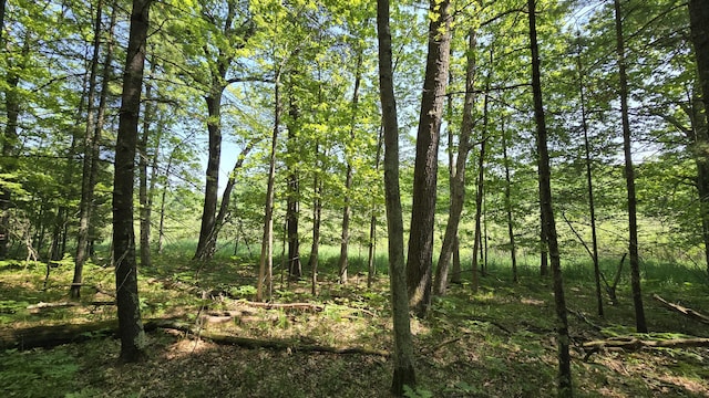 Coates Hwy, Brethren, MI 49619 - photo 12