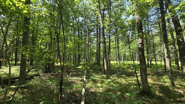 Coates Hwy, Brethren, MI 49619 - photo 20