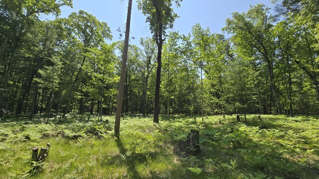Coates Hwy, Brethren, MI 49619 - photo 22