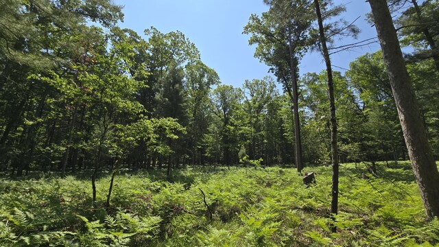 Coates Hwy, Brethren, MI 49619 - photo 23