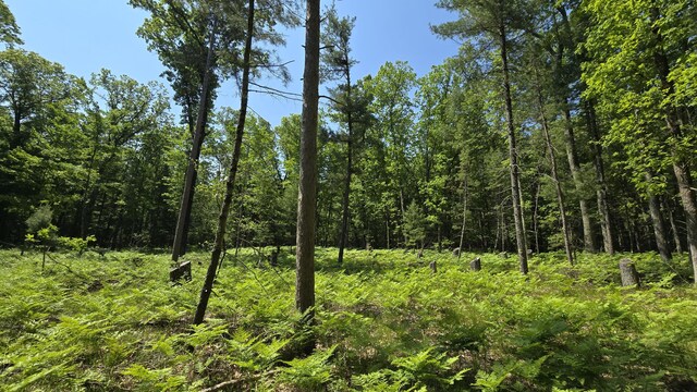 Coates Hwy, Brethren, MI 49619 - photo 24
