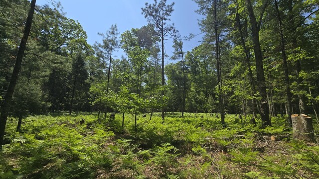 Coates Hwy, Brethren, MI 49619 - photo 25