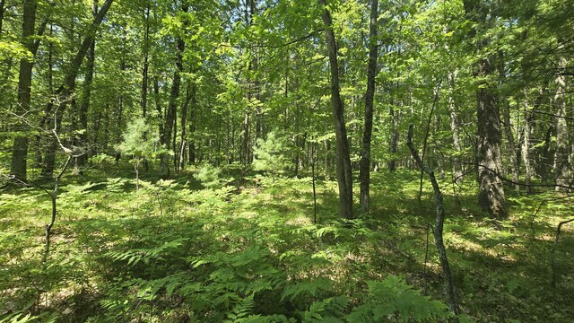 Coates Hwy, Brethren, MI 49619 - photo 26