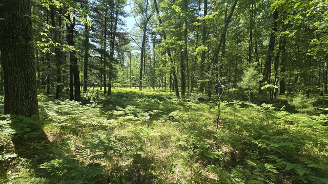 Coates Hwy, Brethren, MI 49619 - photo 13