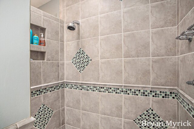 921 Meadow Ridge Dr, Holland, MI 49424 - full bathroom featuring a tile shower