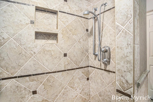 921 Meadow Ridge Dr, Holland, MI 49424 - details featuring a tile shower