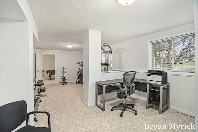 921 Meadow Ridge Dr, Holland, MI 49424 - home office with a textured ceiling, baseboards, and carpet floors