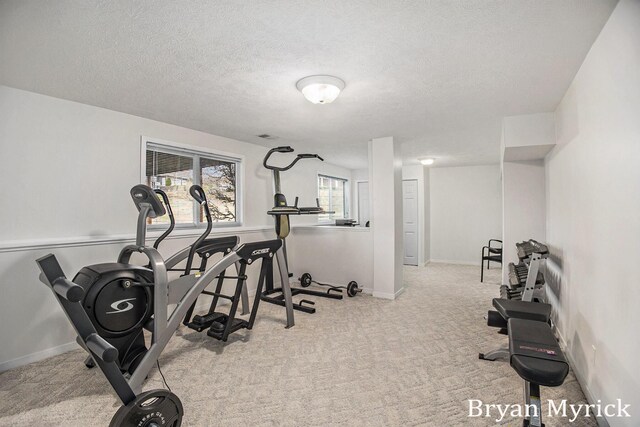 921 Meadow Ridge Dr, Holland, MI 49424 - exercise area featuring a textured ceiling, carpet flooring, and baseboards