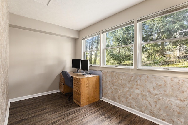 620 Twin Lakes Dr NE, Grand Rapids, MI 49525 - home office featuring baseboards and dark wood-type flooring