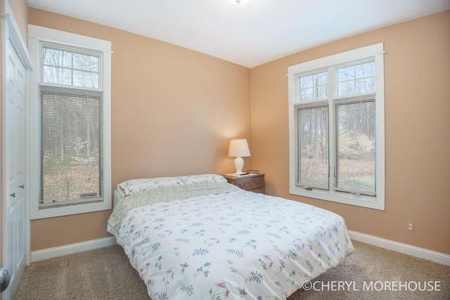 bedroom with carpet floors, baseboards, and multiple windows