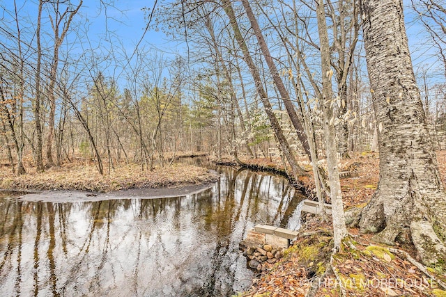 view of water feature