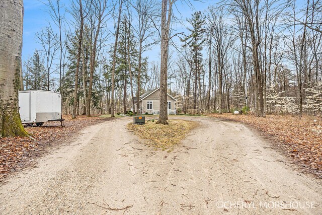 view of road with dirt driveway